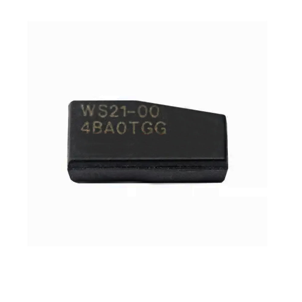 Texas Instruments TRPWS21 H Blank Chip 128-Bit (for Generates H Chip)