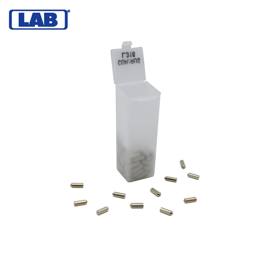 LAB - CRBL316 - L.316 Corbin Russwin Bottom/Lower Pins - Vial 100 Pins