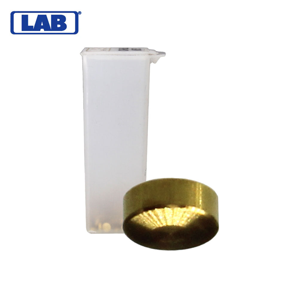 LAB - CRBM053 - M.053 Corbin Russwin Master Pins - Vial 100 Pins