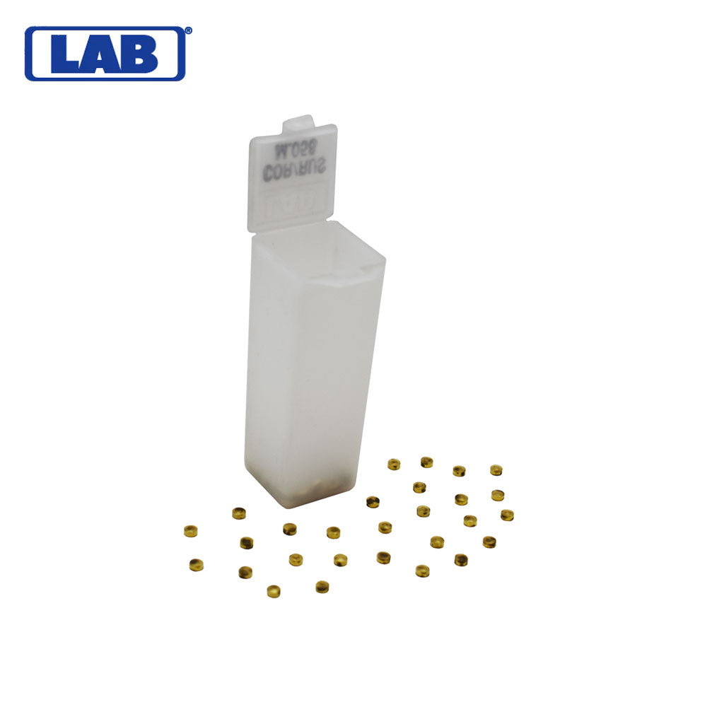 LAB - CRBM058 - M.058 Corbin Russwin Master Pins - Vial 100 Pins