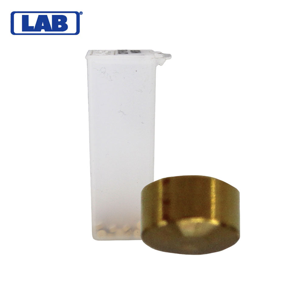 LAB - CRBM060 - M.060 Corbin Russwin Master Pins - Vial 100 Pins