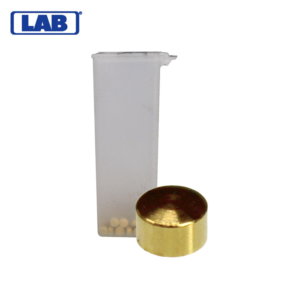 LAB - CRBM075 - M.075 Corbin Russwin Master Pins - Vial 100 Pins