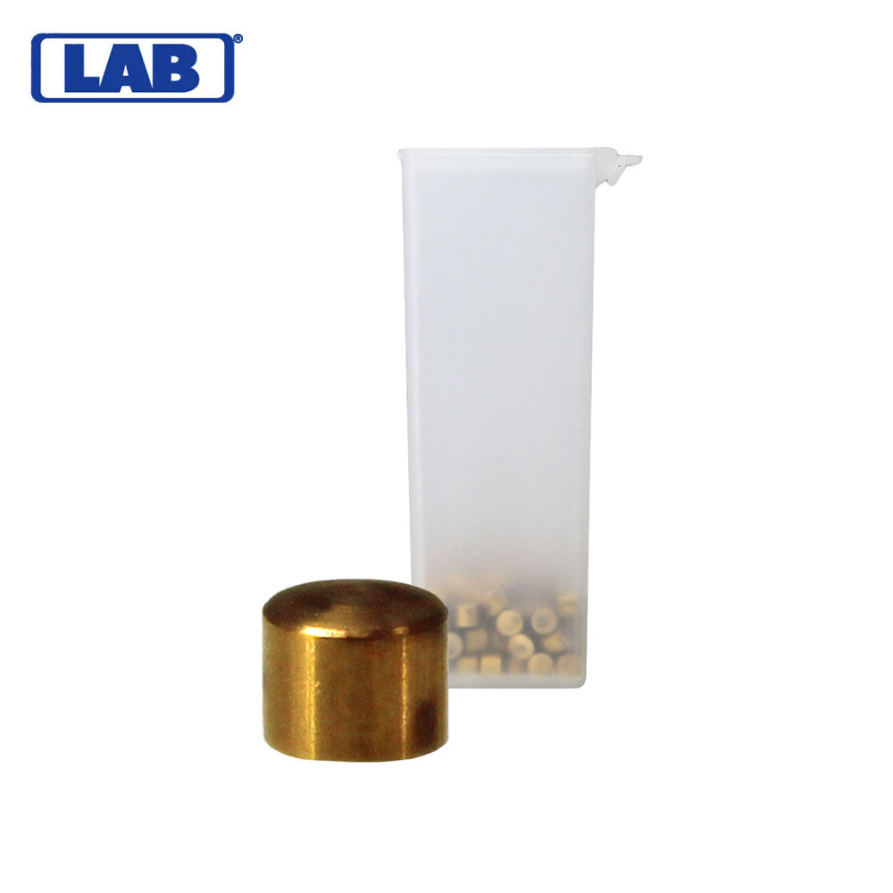 LAB - CRBM100 - M.100 Corbin Russwin Master Pins - Vial 100 Pins