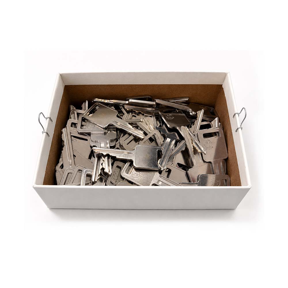 AeroLock TO-4 Try-Out Set for American Motors All Locks (Except Renault) RA4 - 96 Keys
