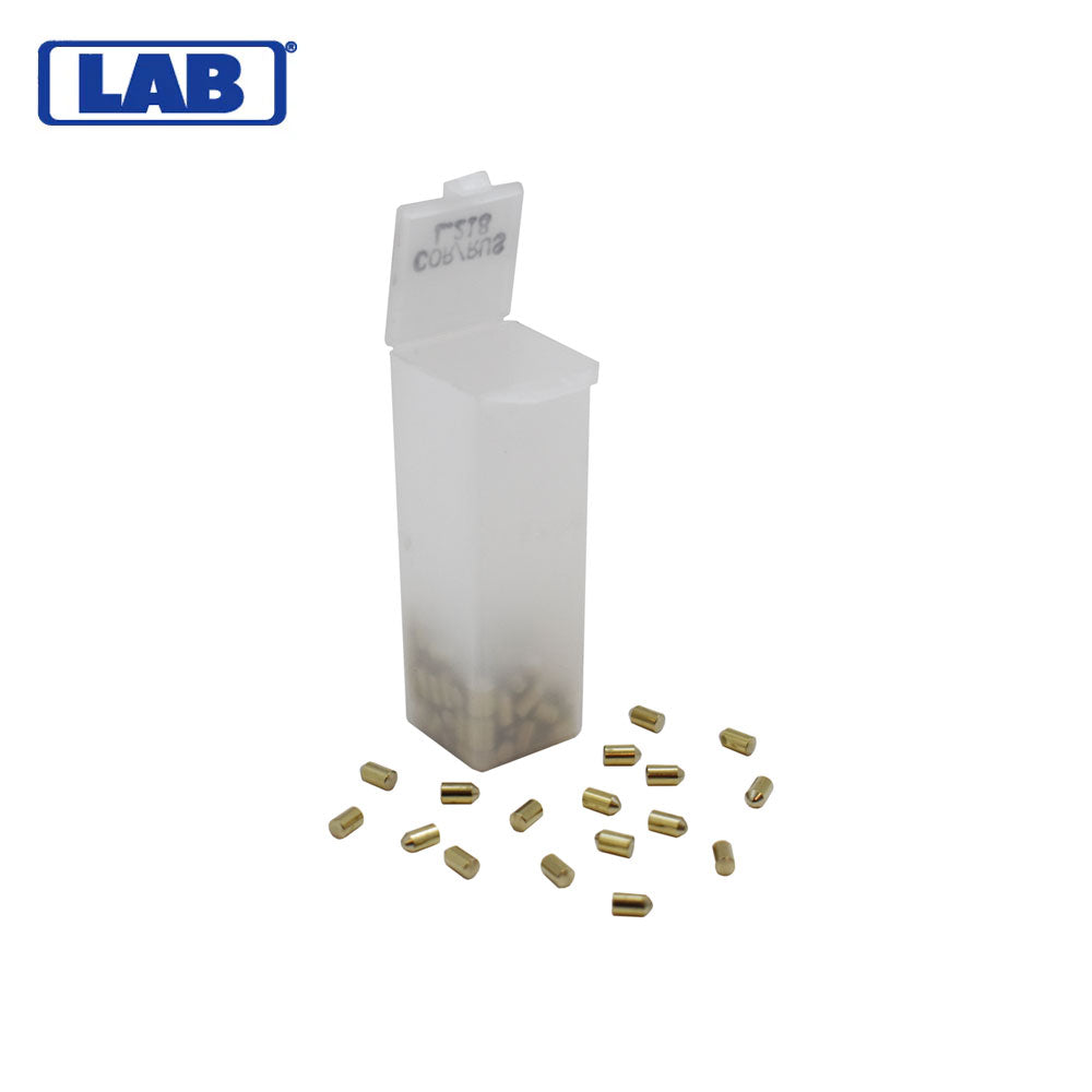 LAB - CRBL218 - L.218 Corbin Russwin Bottom/Lower Pins - Vial 100 Pins