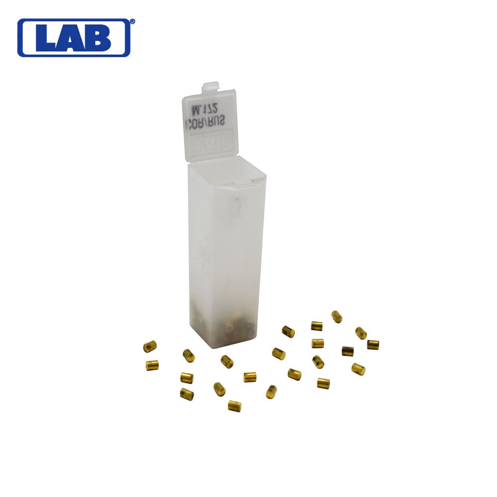 LAB - CRBM172 - M.172 Corbin Russwin Master Pins - Vial 100 Pins