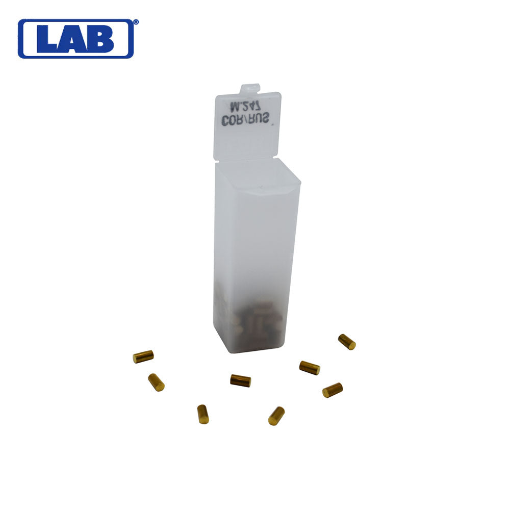 LAB - CRBM247 - M.247 Corbin Russwin Master Pins - Vial 100 Pins