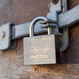 PACLOCK Heavy-Duty GFSP RD Series Rotating Disc Padlock
