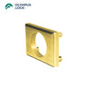 OLYMPUS LOCK - ETS1 - Through-Bolt Mounting Plates - Optional Thickness - Optional Color